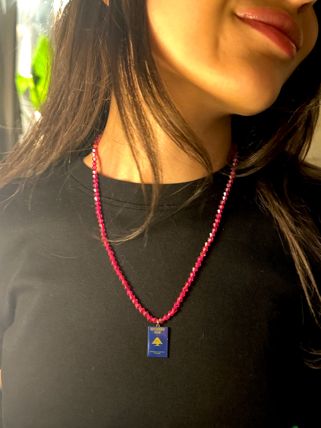 The Passport Necklace